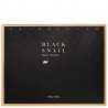Holika Holika Black Snail Skin Care Kit